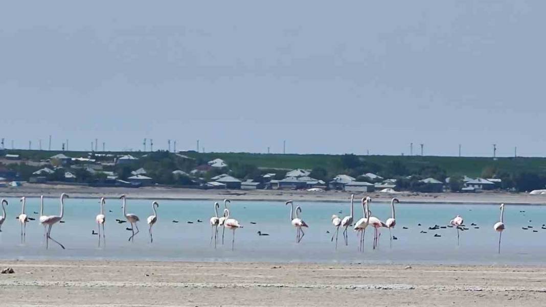 Bitlis'in doğa harikası: Arin Gölü tabloları aratmıyor 4